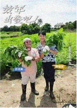 声音漫游